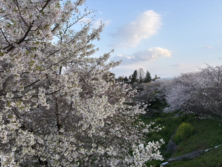 健康ニュース　4月号 1