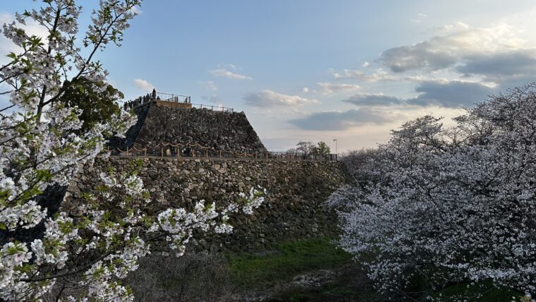健康ニュース　4月号 2